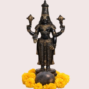 Natural Plain Shaligram Stone (1 Piece) – Original Vishnu Shaligram from Nepal